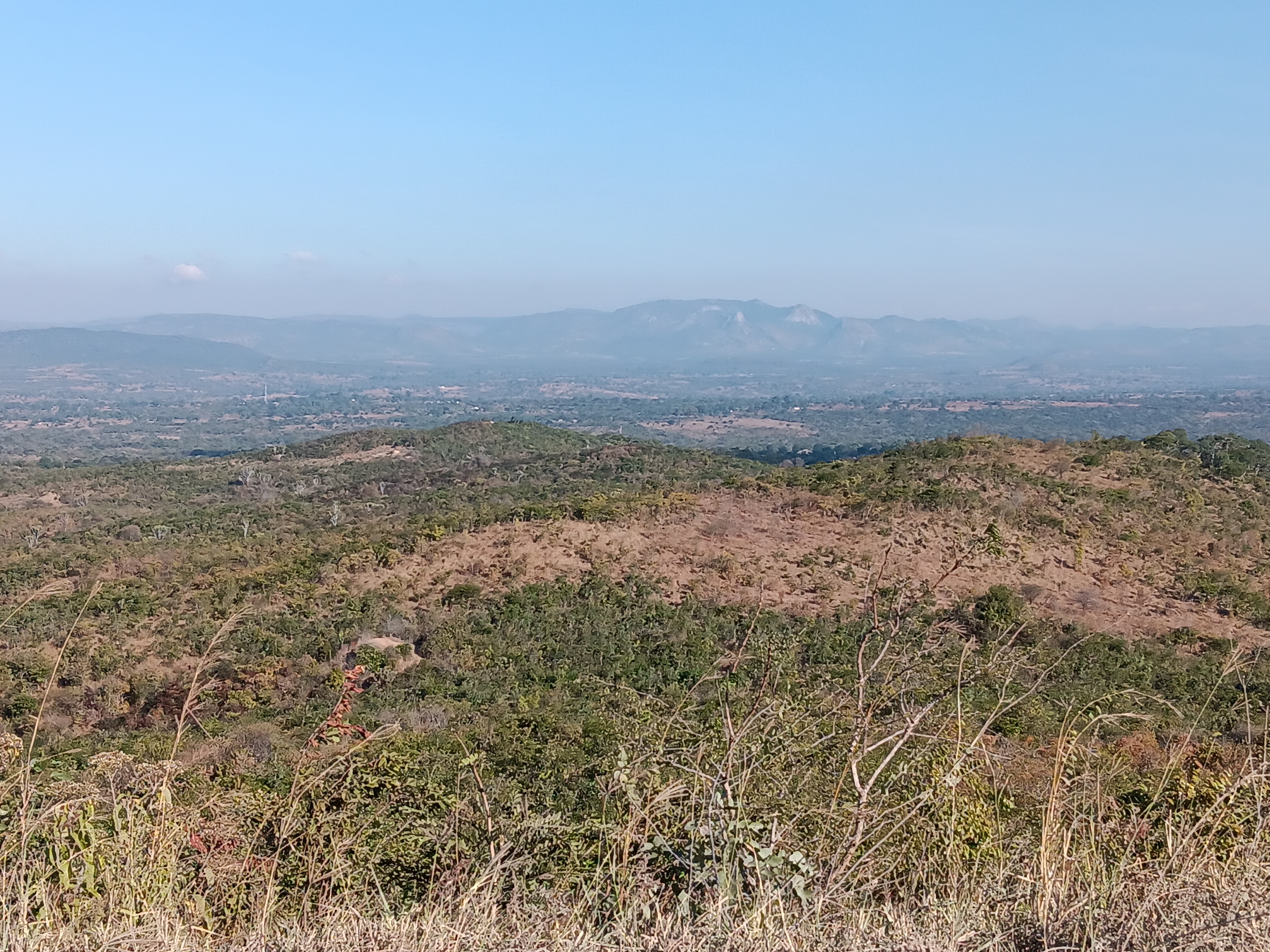 GIS and Remote Sensing